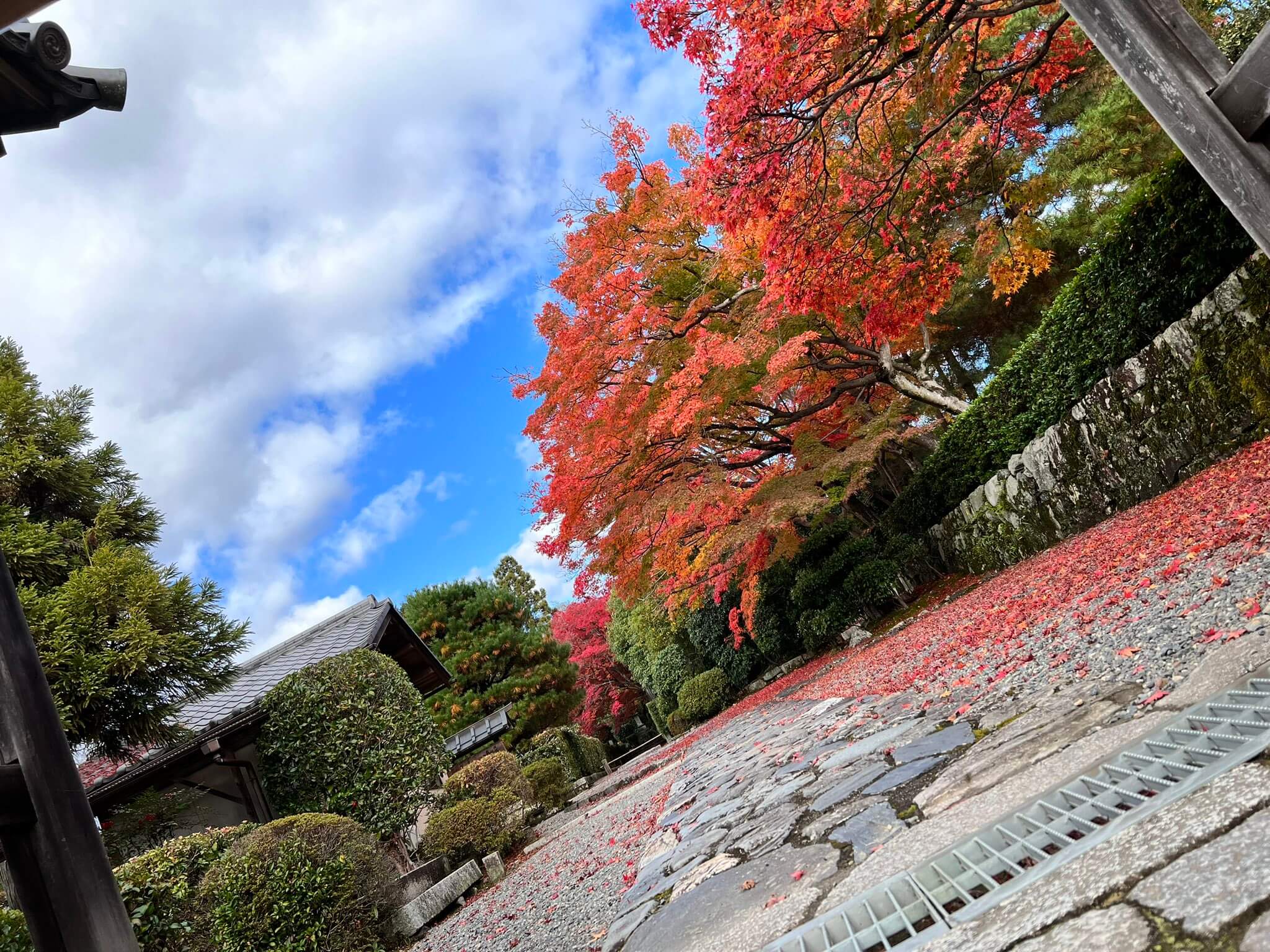 Photo by nkgw4f on Twitter Photo by nkgw4f on Twitter