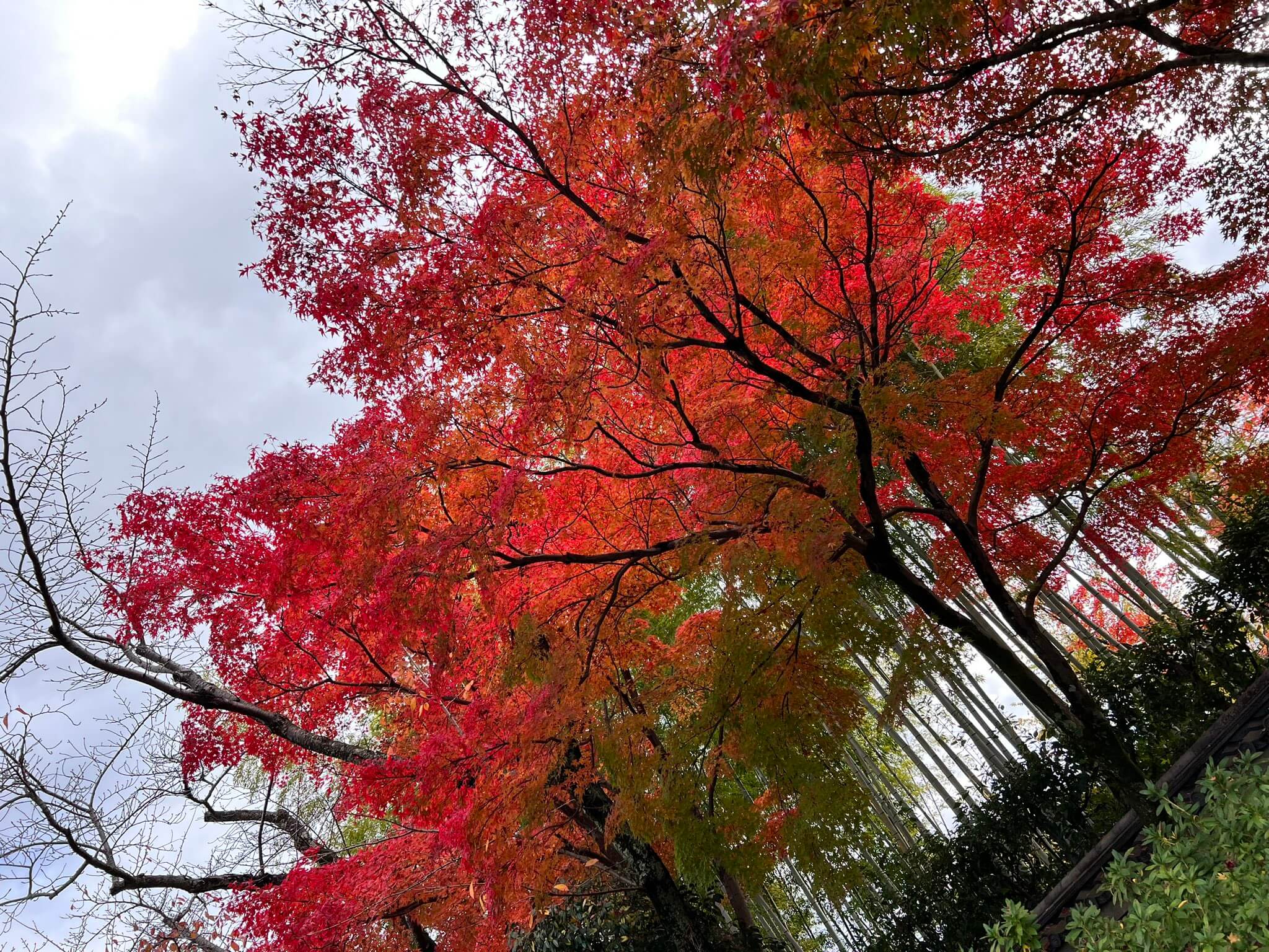 Photo by nkgw4f on Twitter Photo by nkgw4f on Twitter