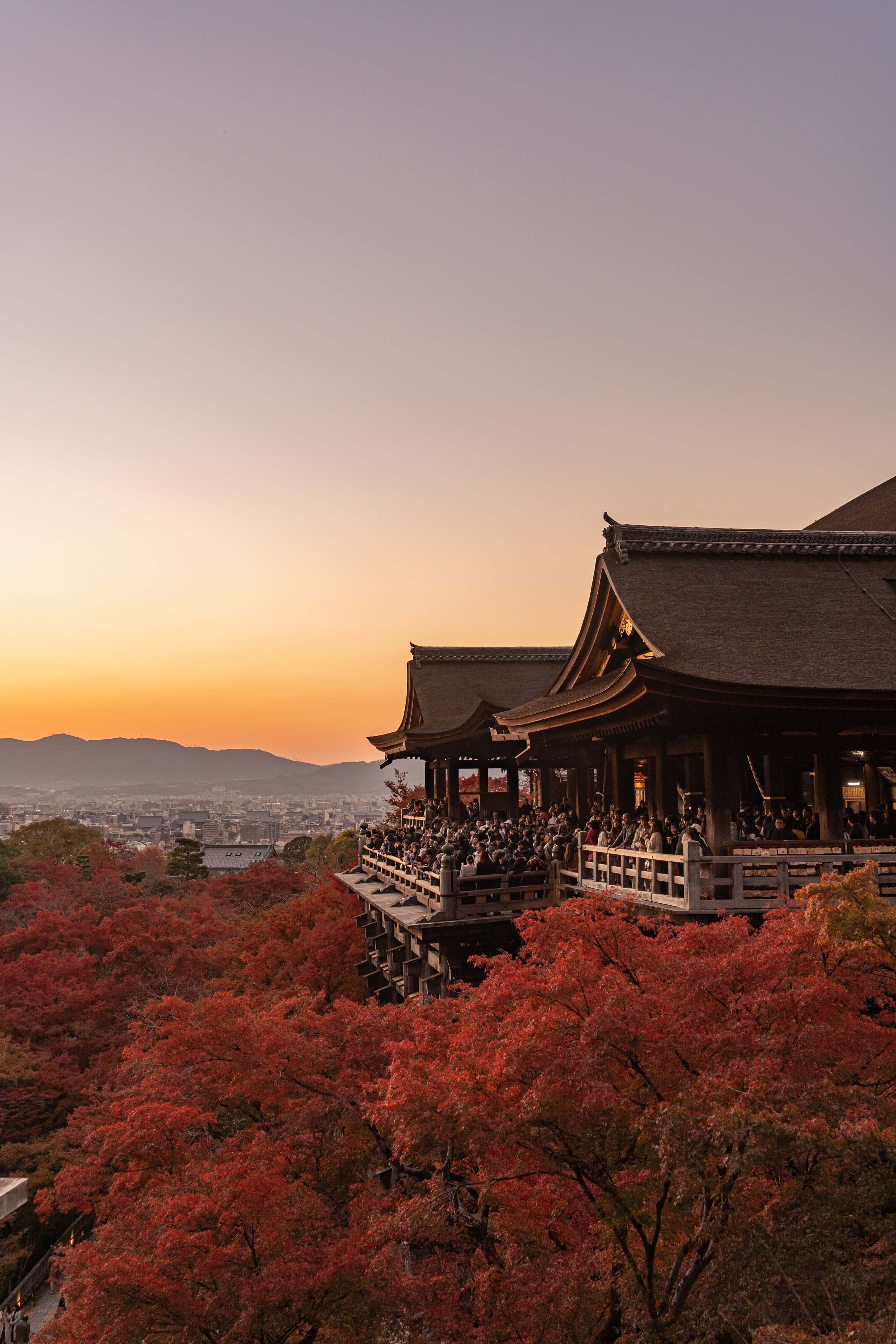 Photo by yuiphoto2 on Twitter Photo by yuiphoto2 on Twitter