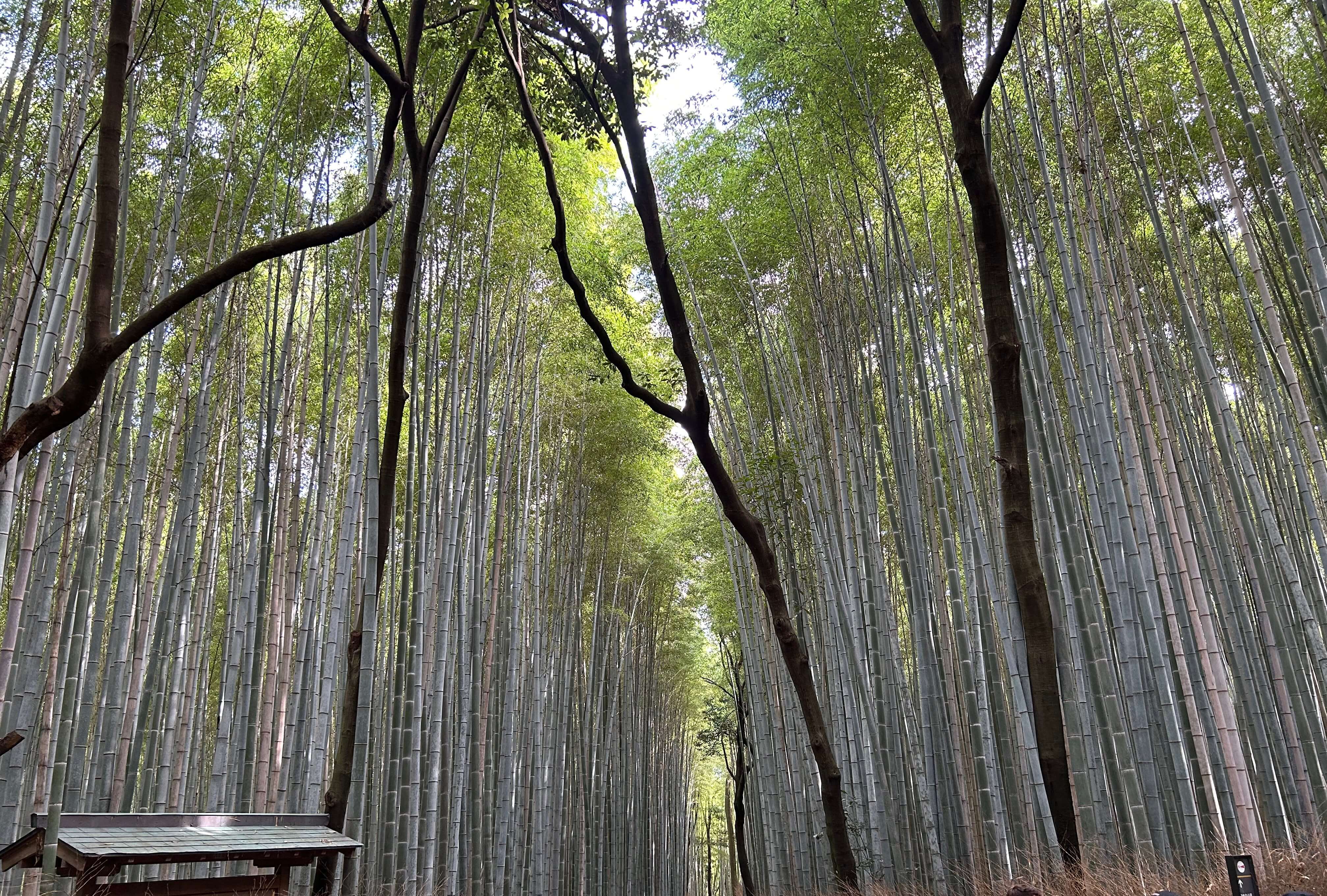 Photo by kenn_ichi7 on Twitter Photo by kenn_ichi7 on Twitter