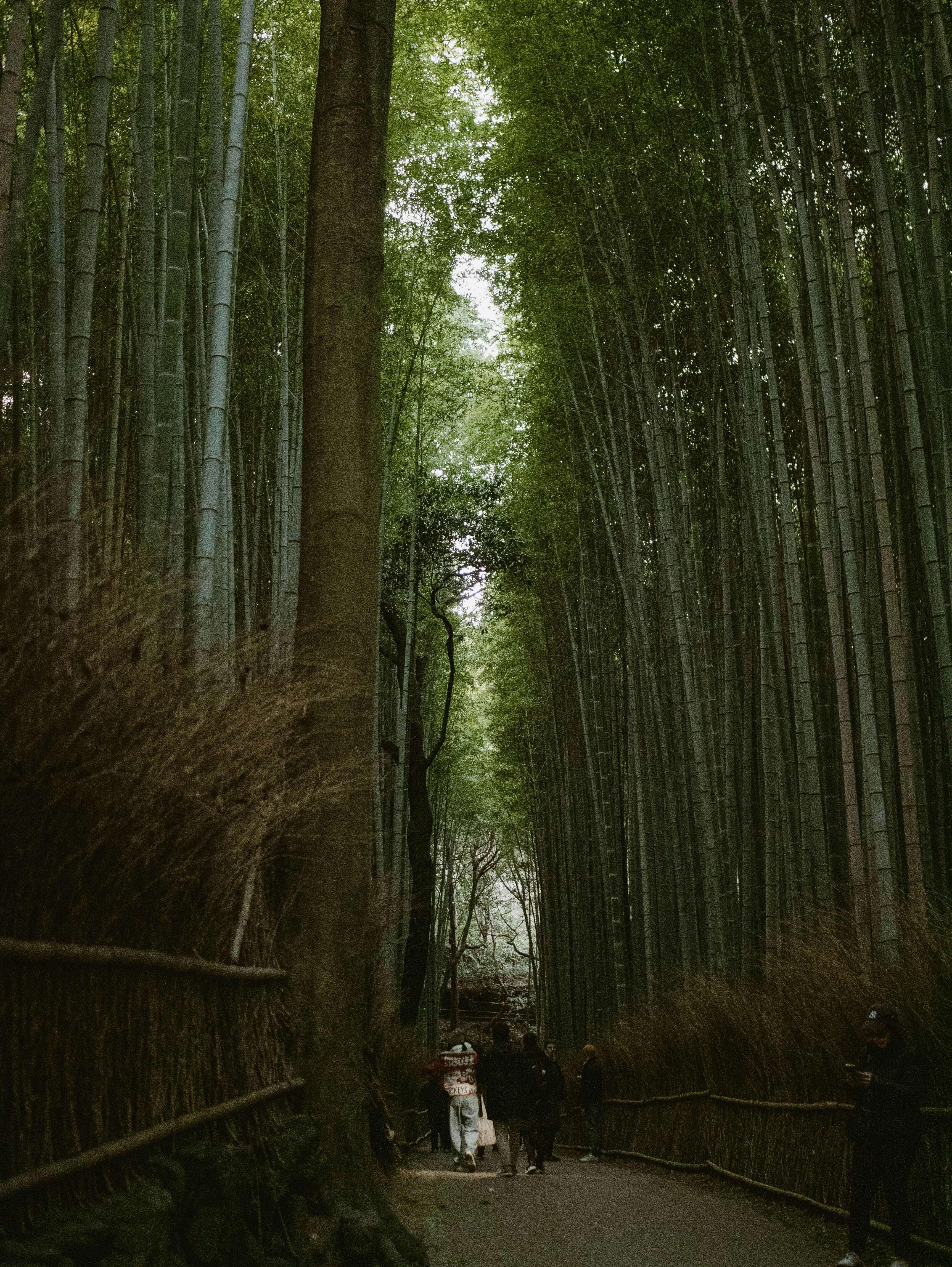 Photo by Andy Li on Unsplash Photo by Andy Li on Unsplash