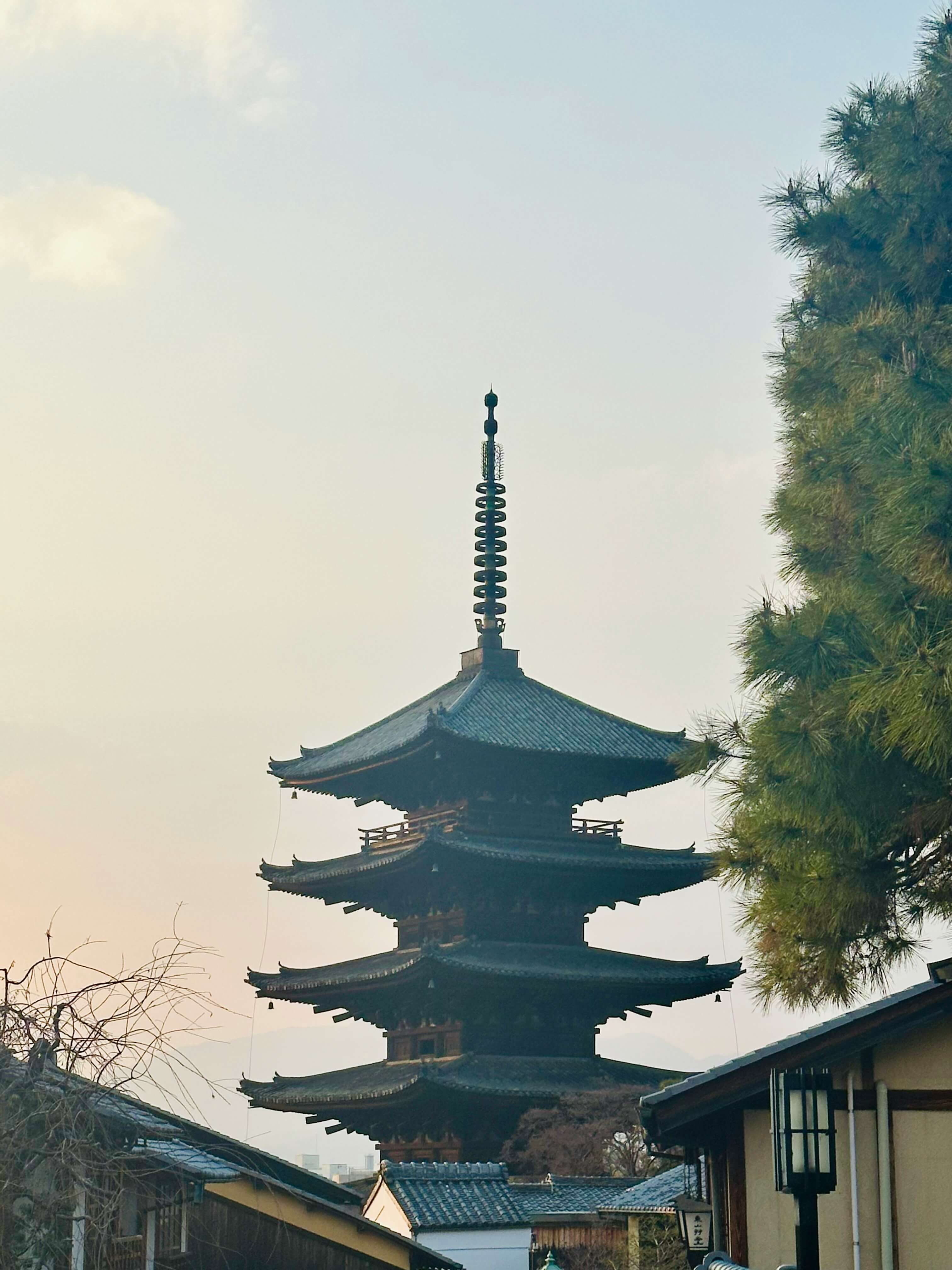 Photo by Richard Liu Kendell on Unsplash Photo by Richard Liu Kendell on Unsplash