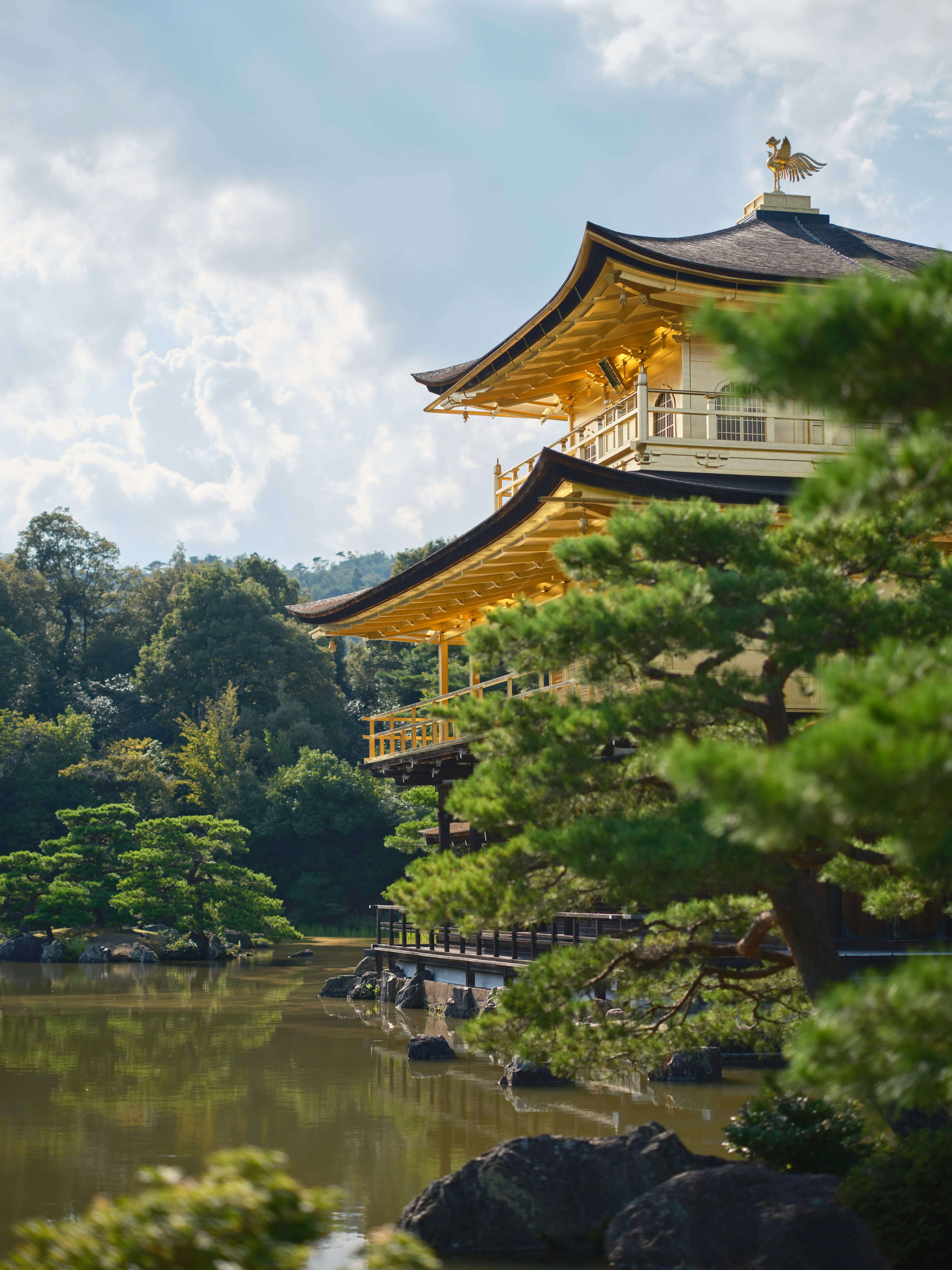 Photo by Stephen on Unsplash Photo by Stephen on Unsplash